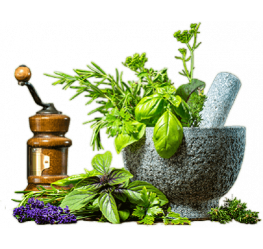 Diploma in Ayurvedic Diet and Lifestyle counselling (CMA approved)